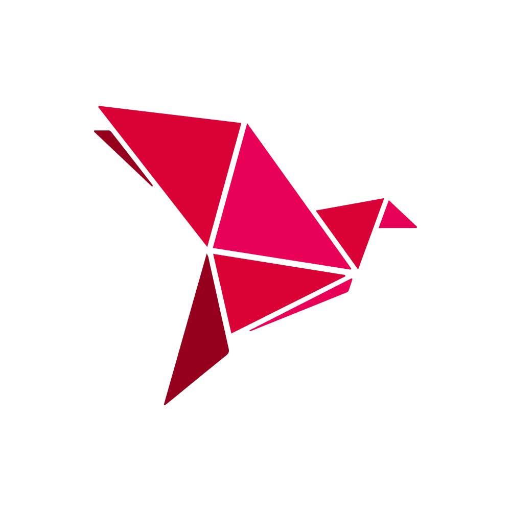 bKash Logo